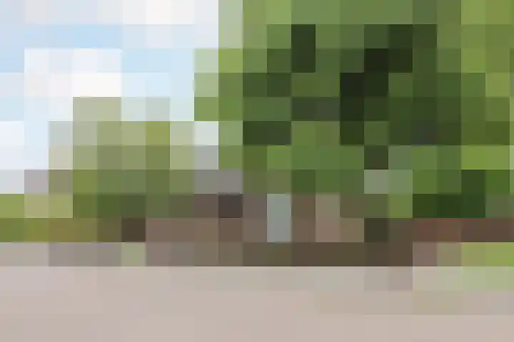 Ambachtsherenlaan 65 Raamsdonksveer thumbnail 19