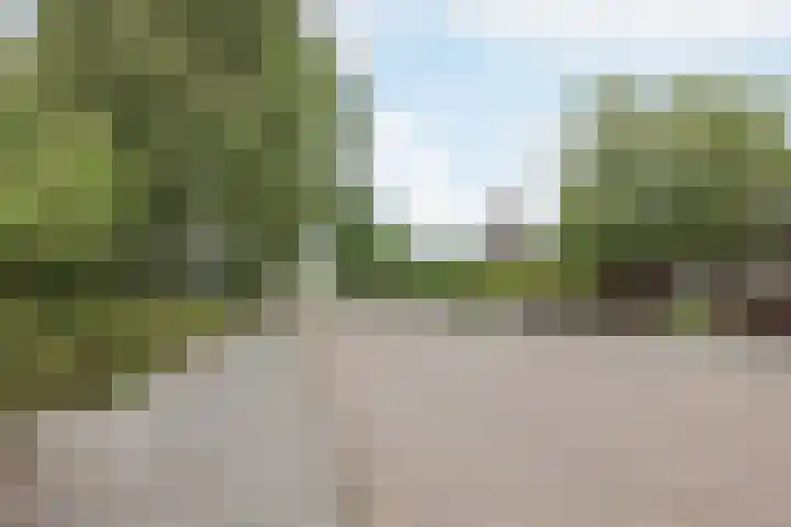 Ambachtsherenlaan 65 Raamsdonksveer thumbnail 20