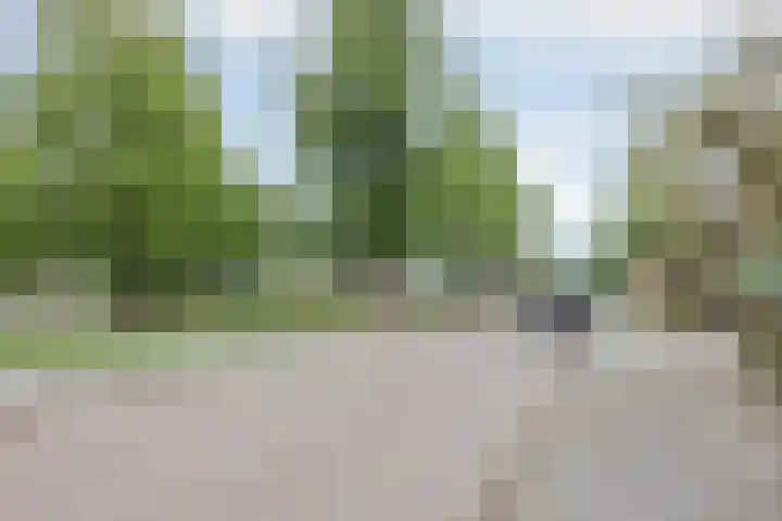 Ambachtsherenlaan 65 Raamsdonksveer thumbnail 21