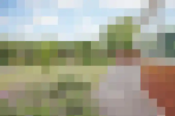 Ambachtsherenlaan 65 Raamsdonksveer thumbnail 22
