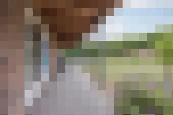 Ambachtsherenlaan 65 Raamsdonksveer thumbnail 23