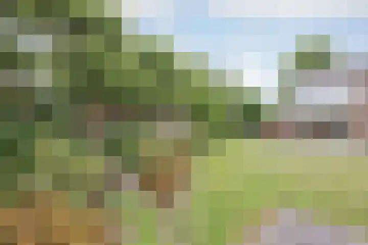 Ambachtsherenlaan 65 Raamsdonksveer thumbnail 26