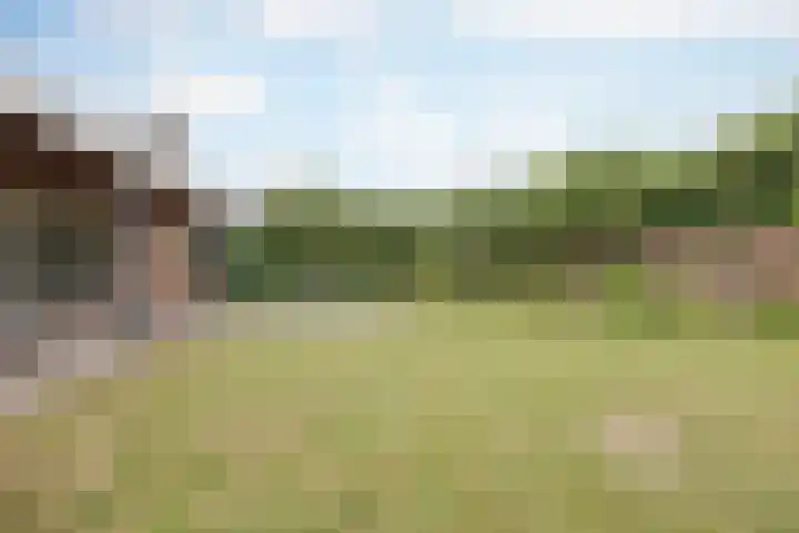 Ambachtsherenlaan 65 Raamsdonksveer thumbnail 27
