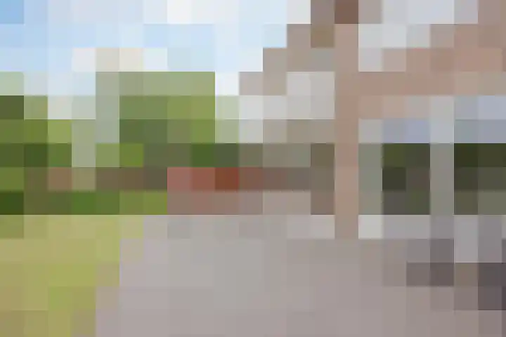 Ambachtsherenlaan 65 Raamsdonksveer thumbnail 28