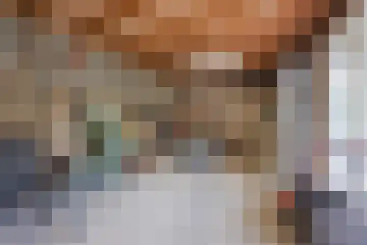 Ambachtsherenlaan 65 Raamsdonksveer thumbnail 31