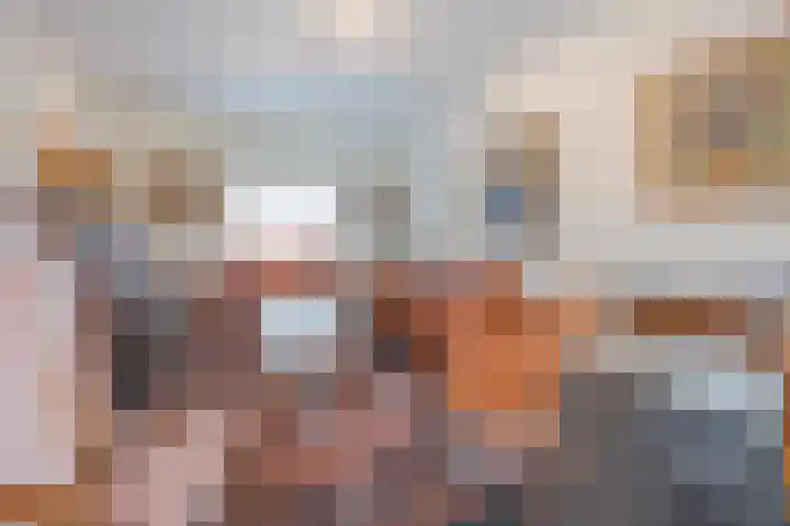 Ambachtsherenlaan 65 Raamsdonksveer thumbnail 35
