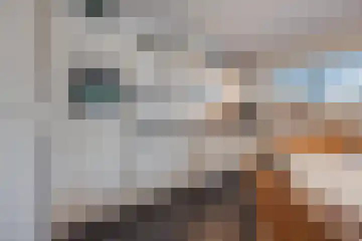 Ambachtsherenlaan 65 Raamsdonksveer thumbnail 42