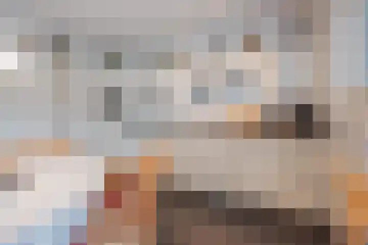 Ambachtsherenlaan 65 Raamsdonksveer thumbnail 43