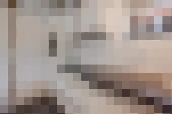 Ambachtsherenlaan 65 Raamsdonksveer thumbnail 44