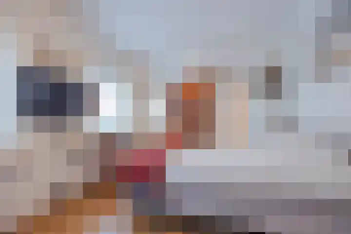 Ambachtsherenlaan 65 Raamsdonksveer thumbnail 49