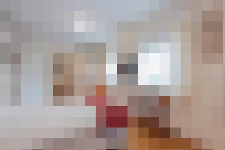 Ambachtsherenlaan 65 Raamsdonksveer thumbnail 50