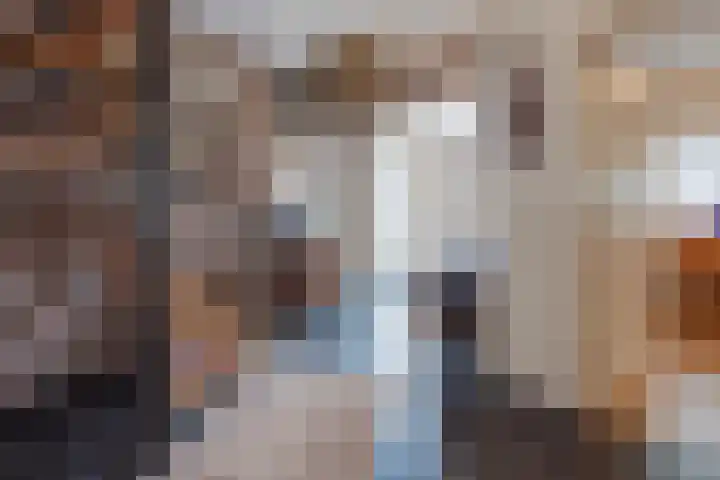 Ambachtsherenlaan 65 Raamsdonksveer thumbnail 54
