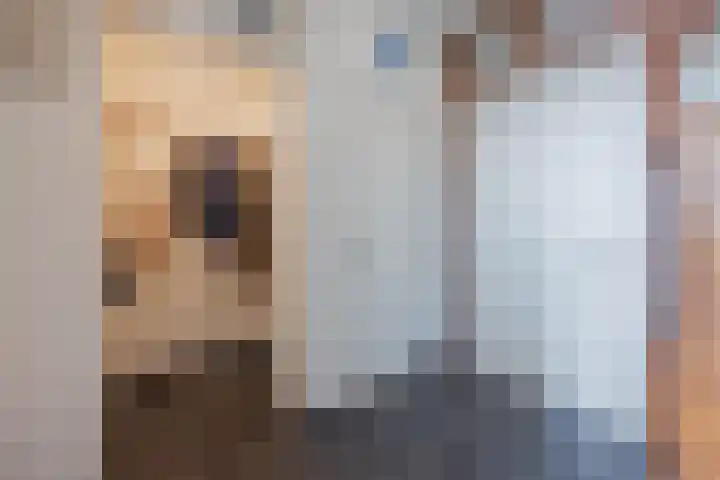 Ambachtsherenlaan 65 Raamsdonksveer thumbnail 56