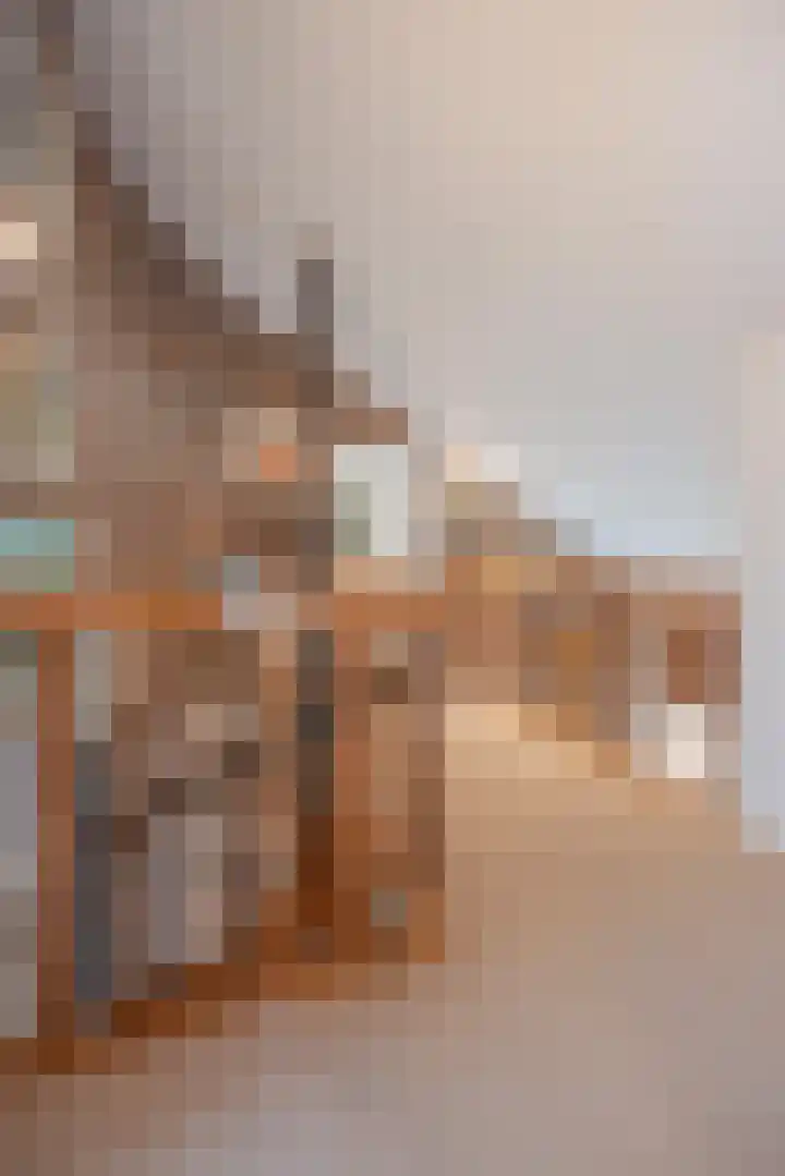Ambachtsherenlaan 65 Raamsdonksveer thumbnail 59