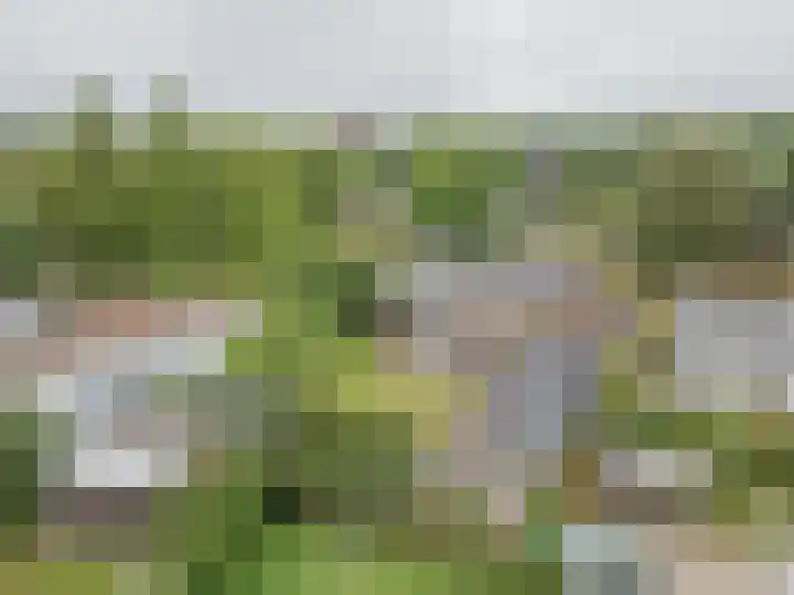 Ambachtsherenlaan 65 Raamsdonksveer thumbnail 6