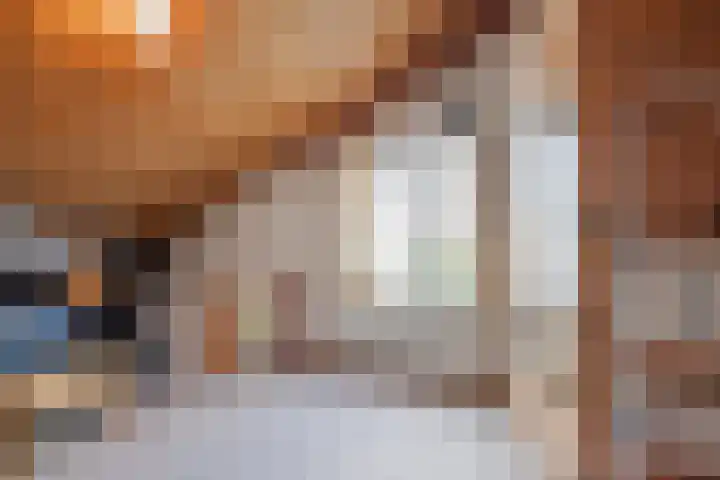 Ambachtsherenlaan 65 Raamsdonksveer thumbnail 71