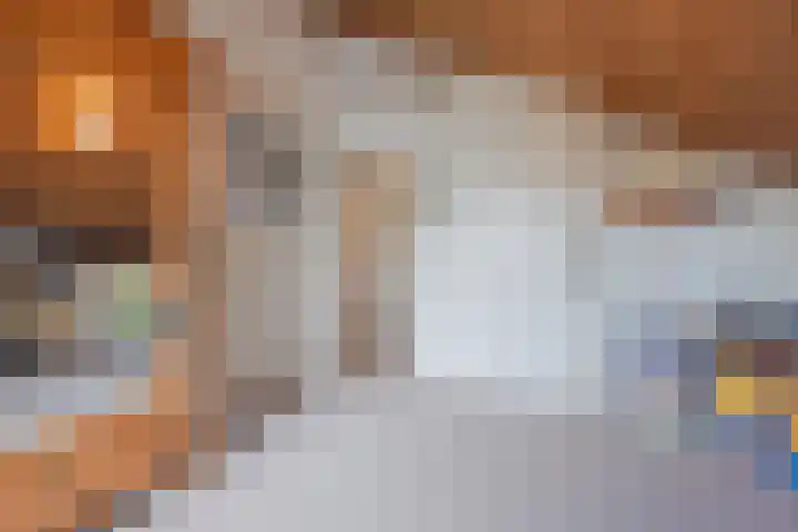 Ambachtsherenlaan 65 Raamsdonksveer thumbnail 72