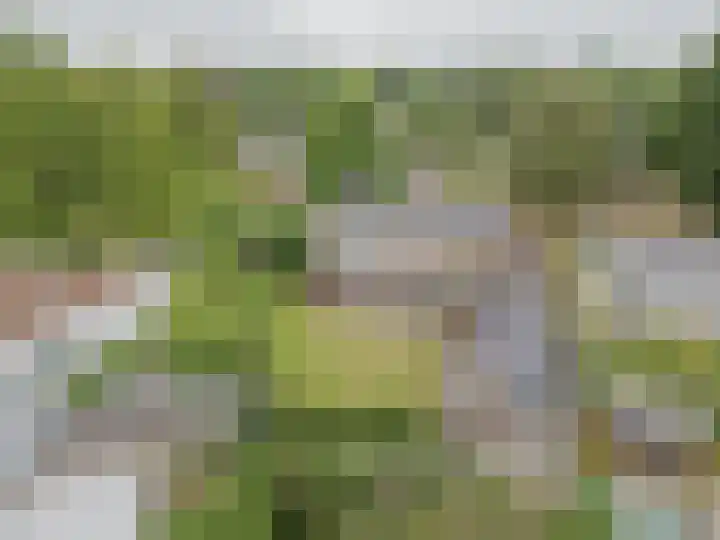 Ambachtsherenlaan 65 Raamsdonksveer thumbnail 9