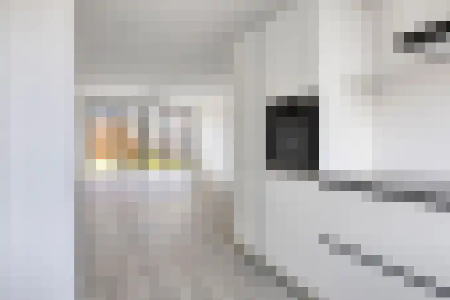 Ambachtsherenpad 63 Zoetermeer thumbnail 12