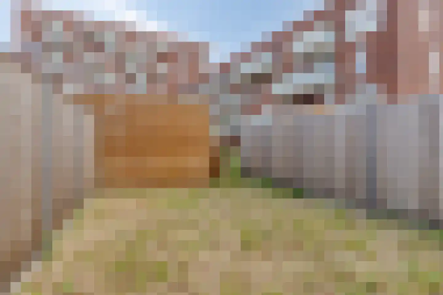 Ambachtsherenpad 63 Zoetermeer thumbnail 30