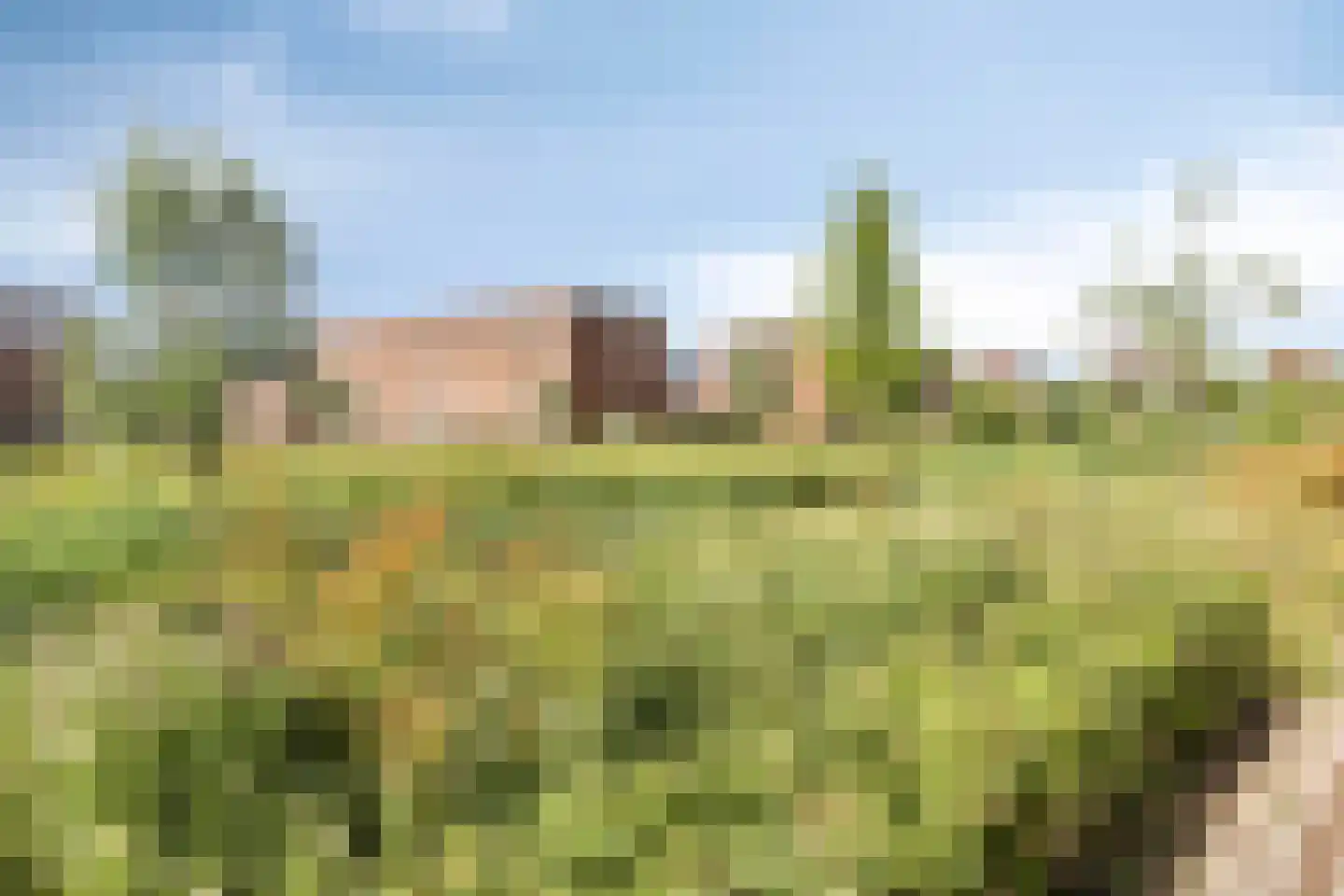 Ambachtsherenpad 63 Zoetermeer thumbnail 35