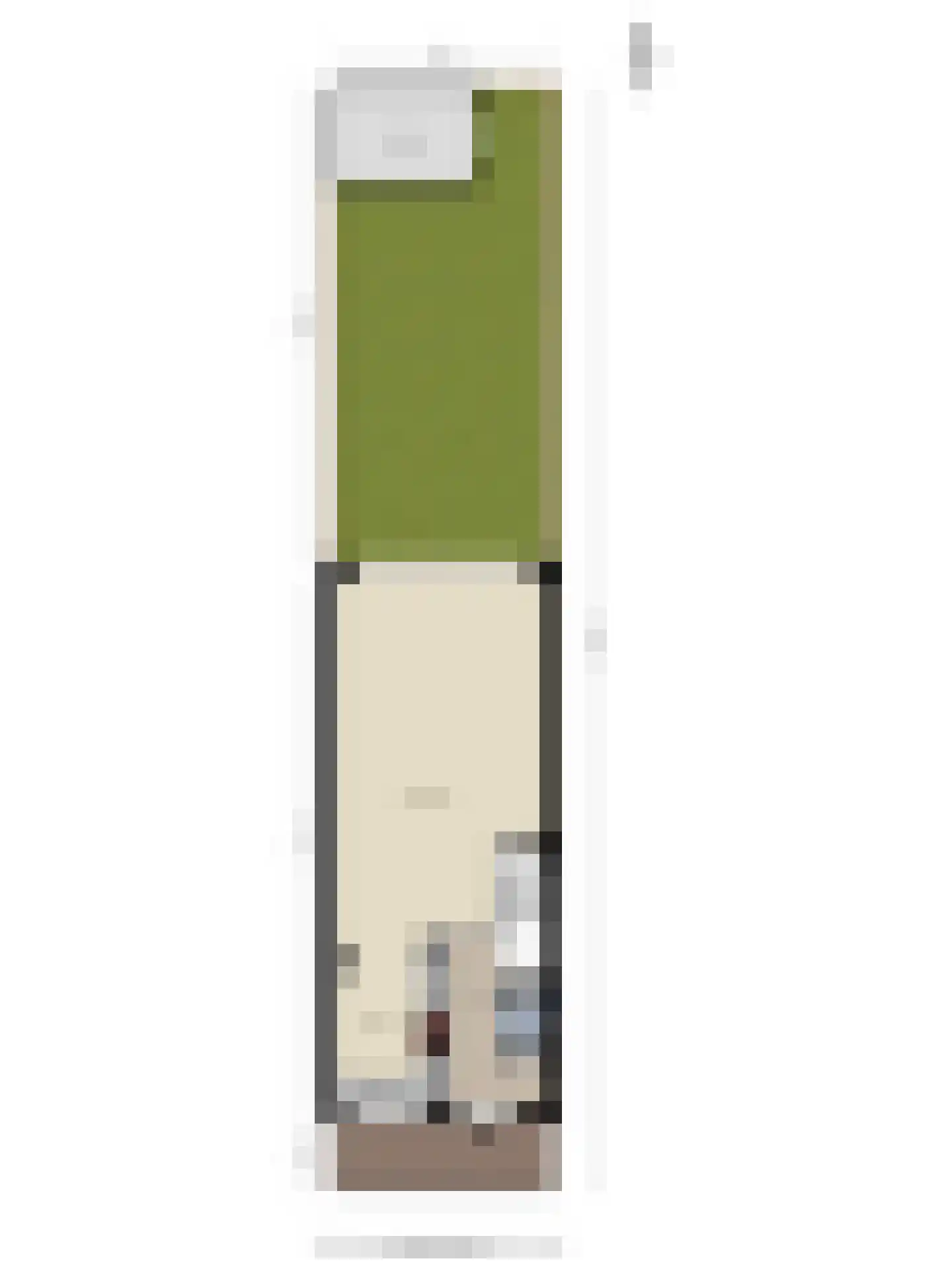 Ambachtsherenpad 63 Zoetermeer thumbnail 40