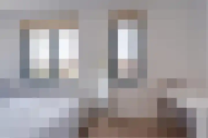 Ambachtsherenpad 89 Zoetermeer thumbnail 30