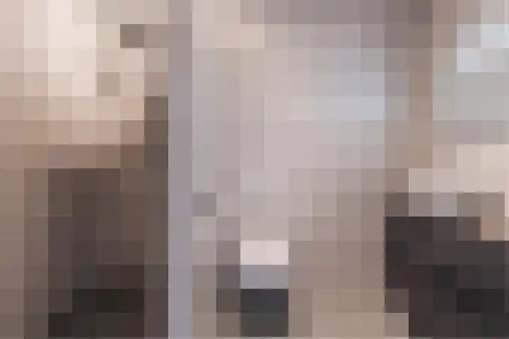 Ambachtsherenpad 89 Zoetermeer thumbnail 33