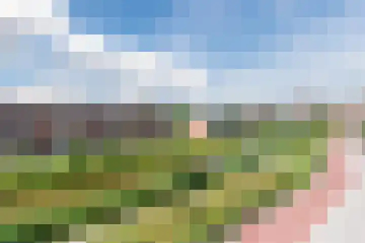 Ambachtsherenpad 89 Zoetermeer thumbnail 43