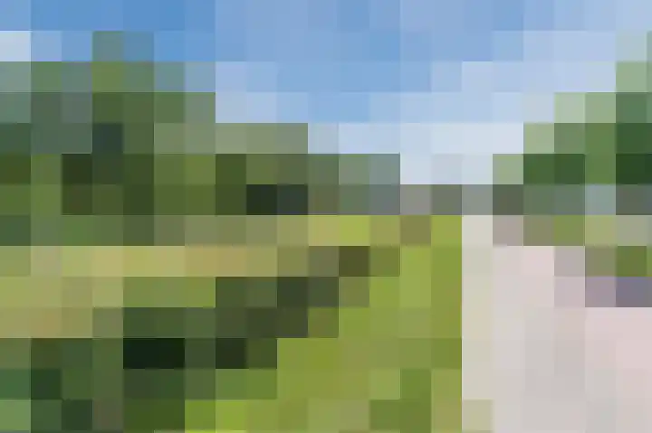 Ambachtsherenpad 89 Zoetermeer thumbnail 54