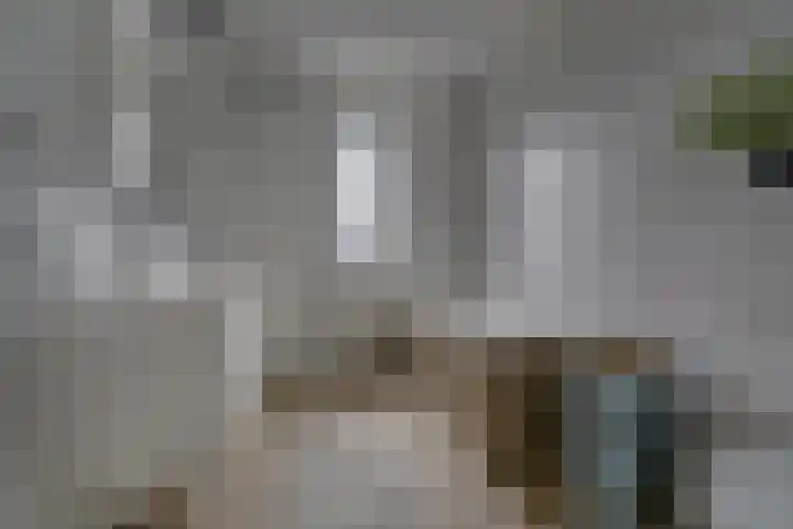 Ambachtsherenstraat 36 Valkenburg thumbnail 22