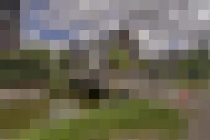 Ambachtsherenstraat 36 Valkenburg thumbnail 31