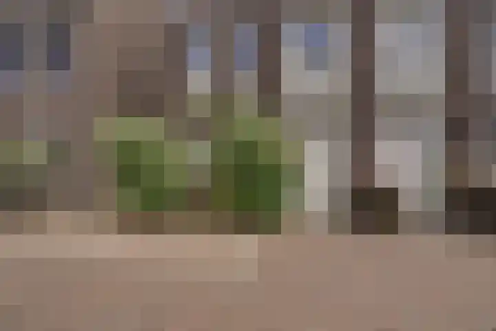 Ambachtsherenstraat 36 Valkenburg thumbnail 6