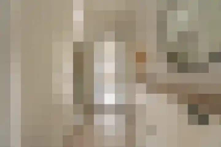 Ambachtsherenstraat 9 Valkenburg thumbnail 15