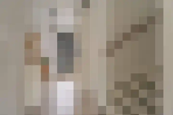 Ambachtsherenstraat 9 Valkenburg thumbnail 17