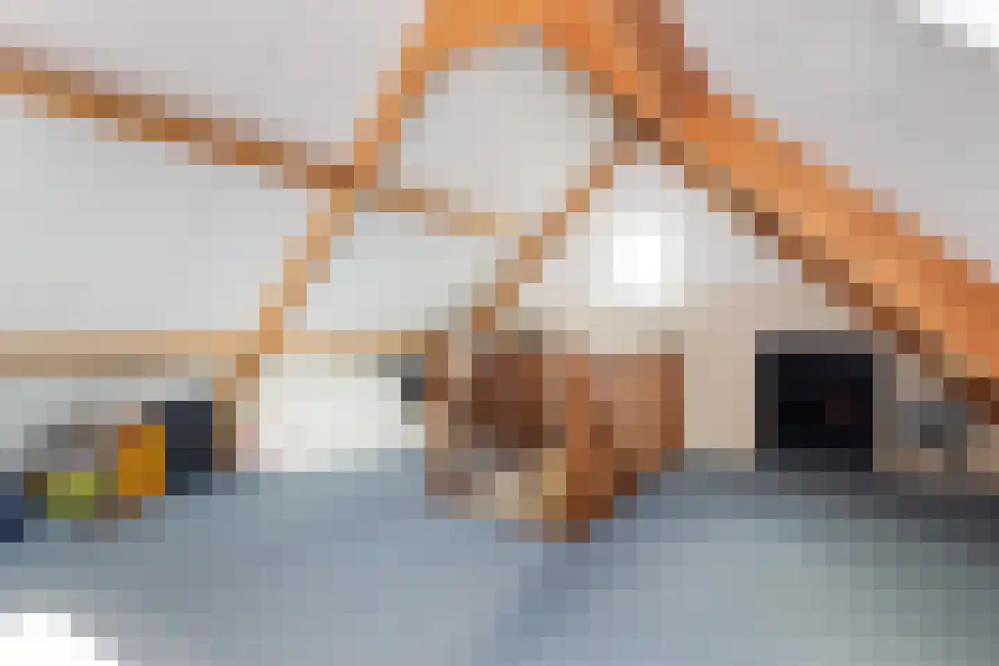 Ambachtsherenweg 13 Nieuw-Beijerland thumbnail 36