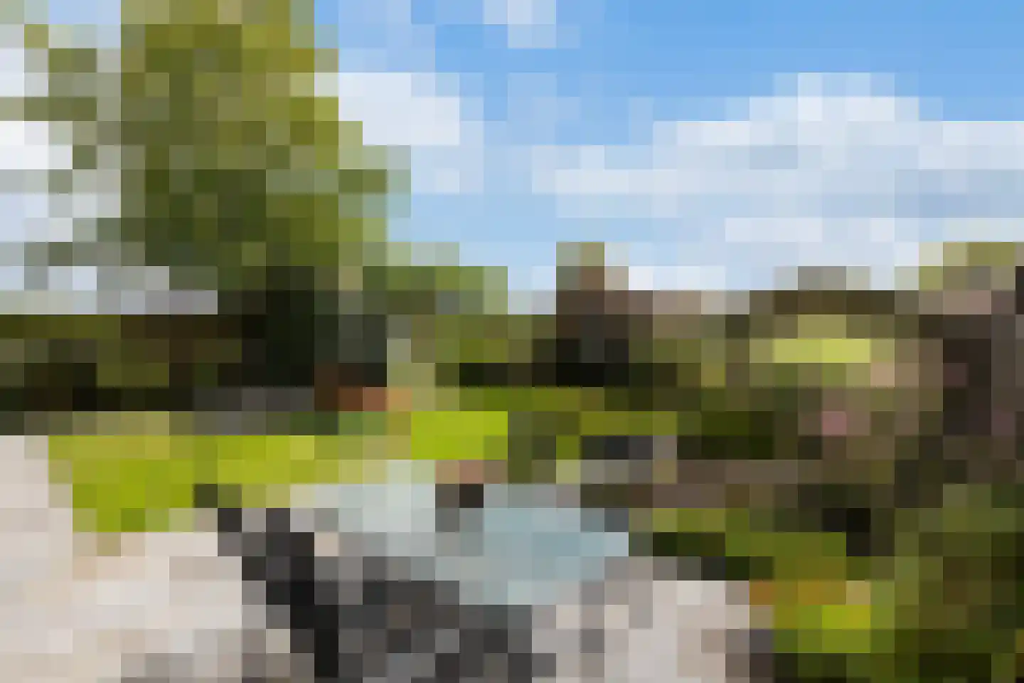 Ambachtsherenweg 13 Nieuw-Beijerland thumbnail 38
