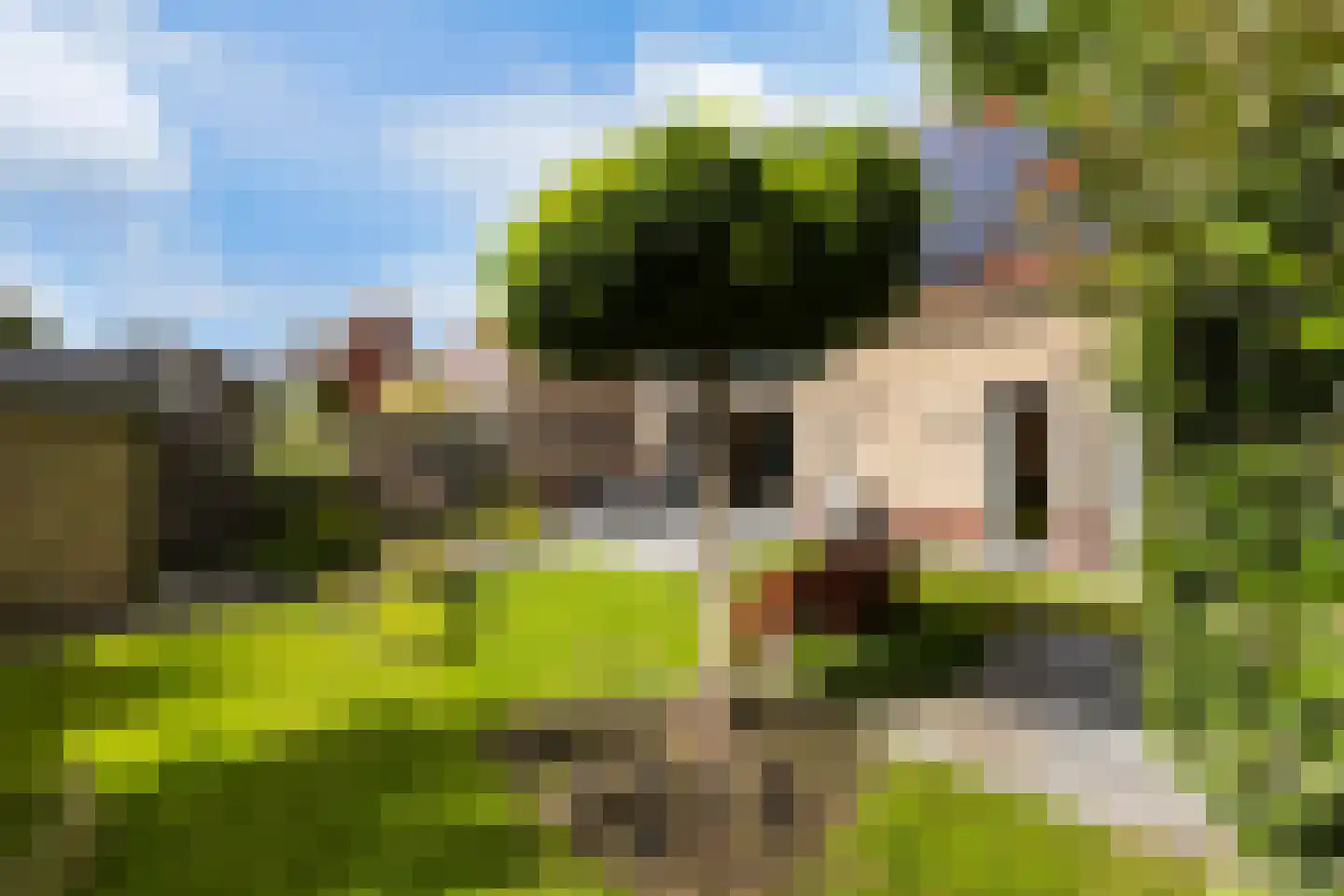 Ambachtsherenweg 13 Nieuw-Beijerland thumbnail 40