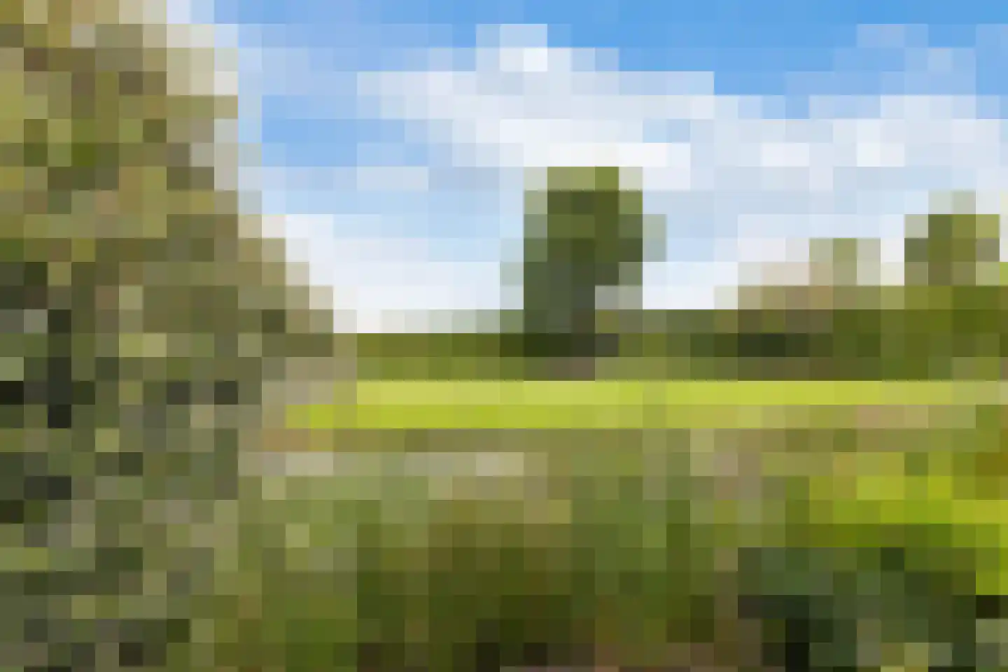 Ambachtsherenweg 13 Nieuw-Beijerland thumbnail 44