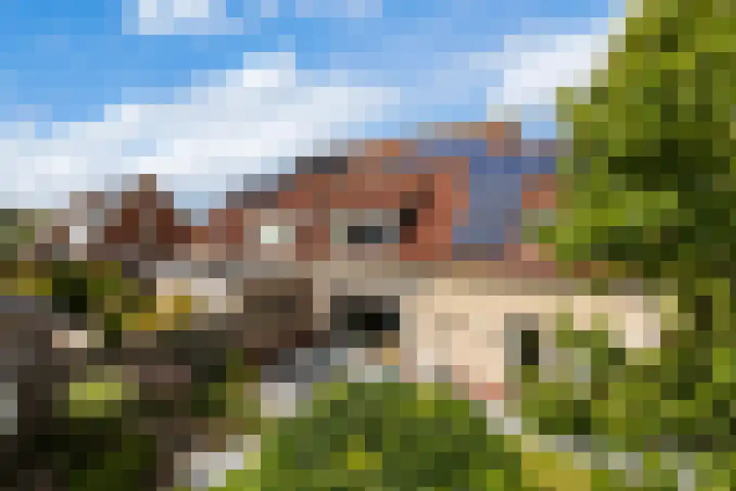 Ambachtsherenweg 13 Nieuw-Beijerland thumbnail 46