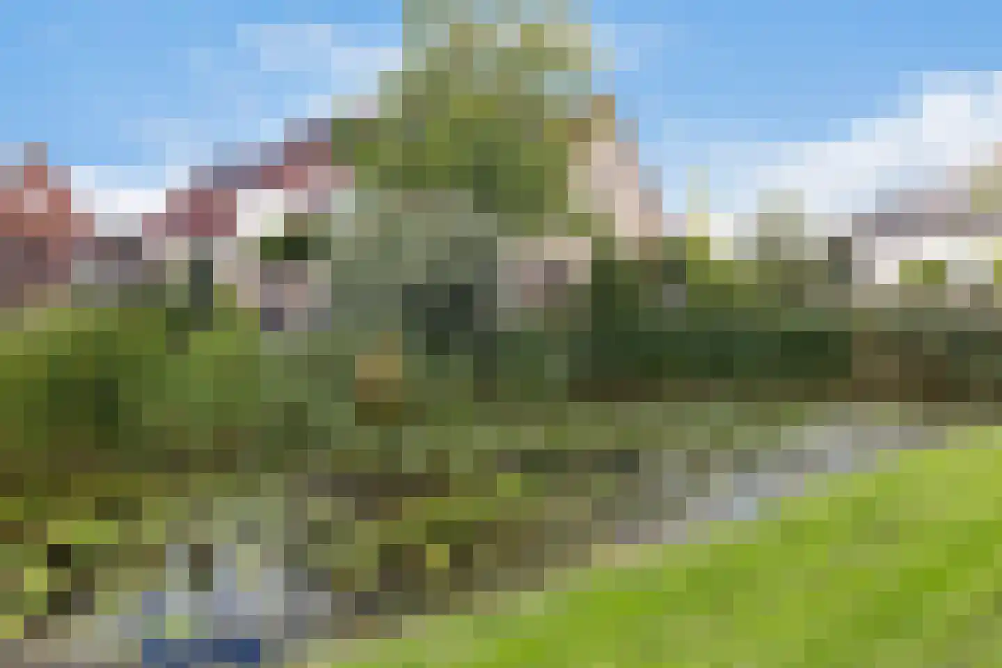 Ambachtsherenweg 13 Nieuw-Beijerland thumbnail 48