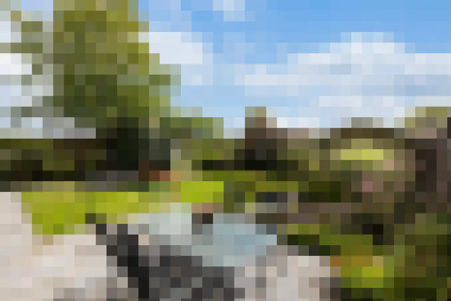 Ambachtsherenweg 13 Nieuw-Beijerland thumbnail 5