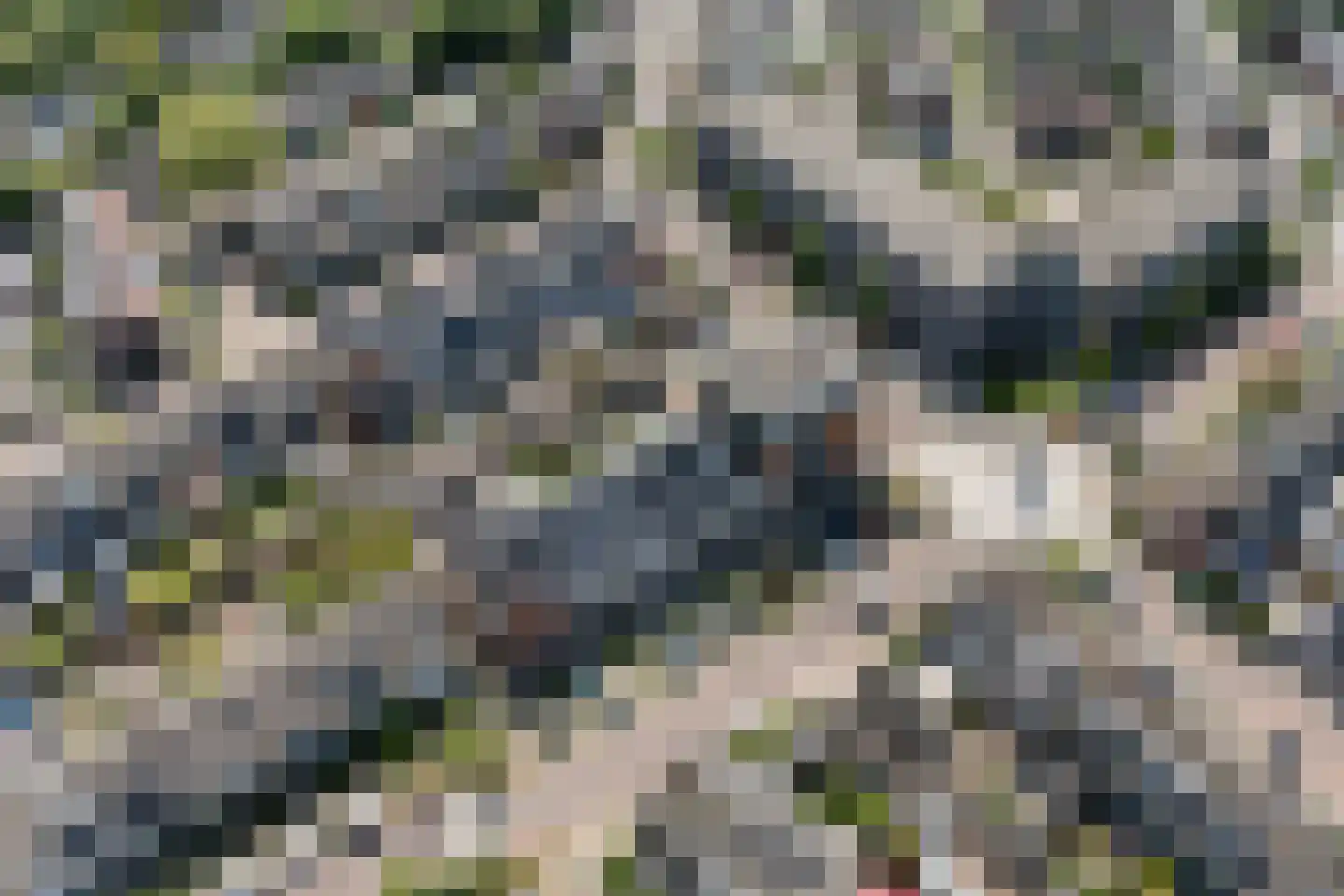 Ambachtsherenweg 24 A 01 Zoeterwoude thumbnail 25