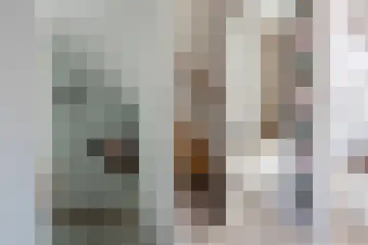 Ambachtsherenweg 27 Zoeterwoude thumbnail 36