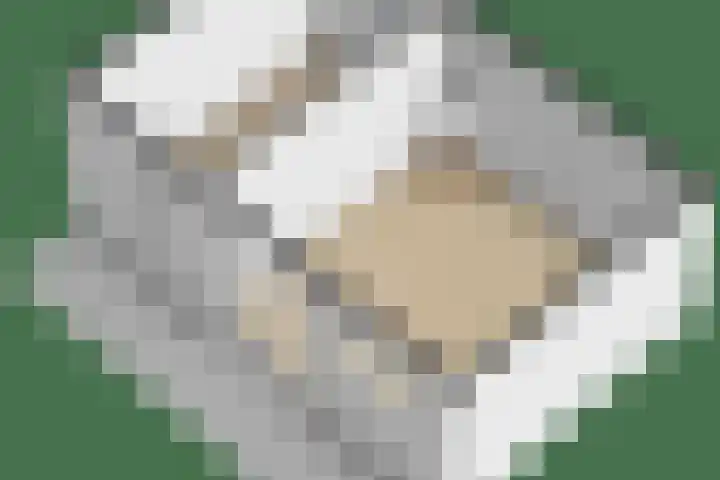 Ambachtsherenweg 27 Zoeterwoude thumbnail 68