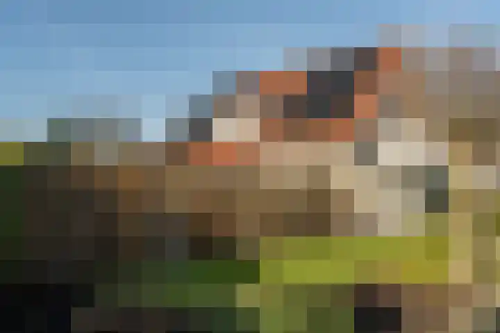Ambachtsherenweg 32 Nieuw-Beijerland thumbnail 47