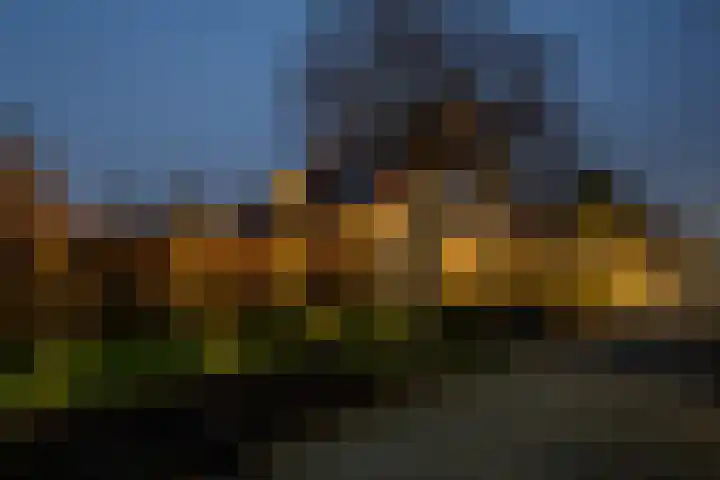 Ambachtsherenweg 32 Nieuw-Beijerland thumbnail 53
