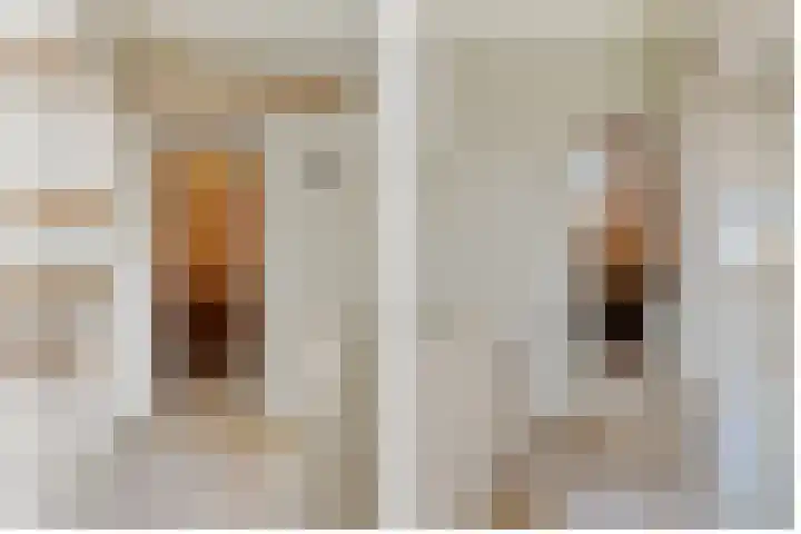 Ambachtsherenweg 74 Zoeterwoude thumbnail 17