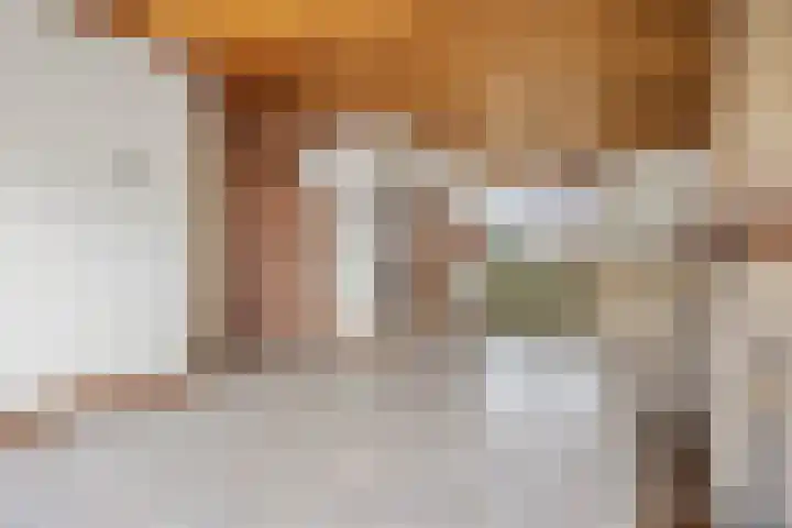 Ambachtsherenweg 74 Zoeterwoude thumbnail 7