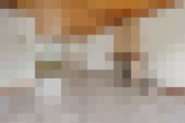 Ambachtsherenweg 74 Zoeterwoude thumbnail 8
